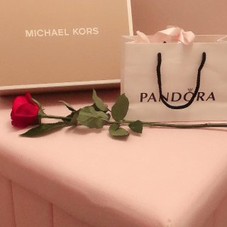 Michael Kors 迈克.科尔斯,Pandora 潘多拉,Rose