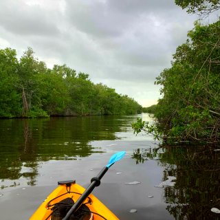 漫游 | FL | 大沼泽的水路迷宫...