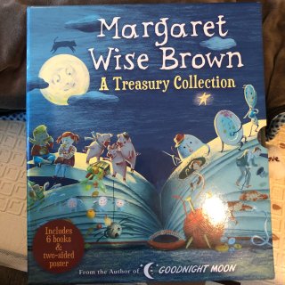 Margaret Wise Brown A Treasury Collection: 6 Picture Book Box Set | Costco