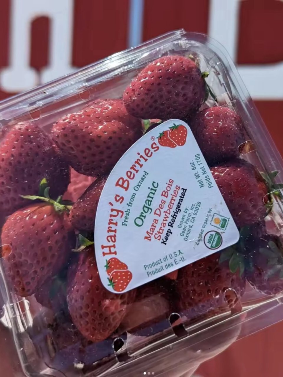 加州草莓界的“爱马仕”，看到一定要买🍓...