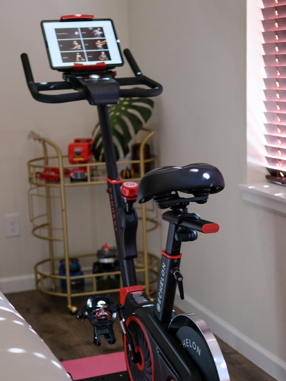 Echelon EX3 Smart Connect Fitness Bike (Red) : Everything Else