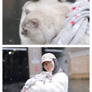 ❄️2022的鹅毛大雪▫️带小猫去看雪啦...