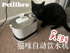 【好物推荐】猫咪届的赛博朋克 petlibro自动饮水机
