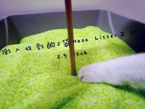微众测｜Neon Litter霓虹五彩猫砂