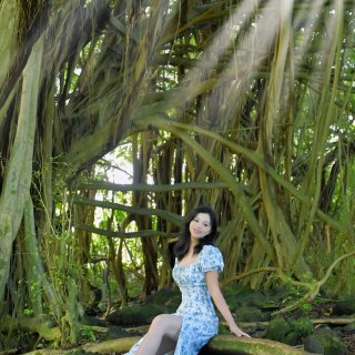 夏威夷大岛Hilo💚超梦幻的雨林瀑布！...