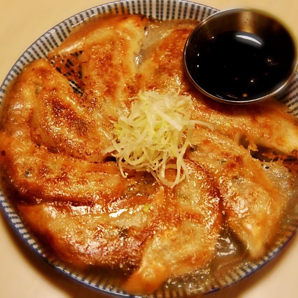 Buta Gyoza