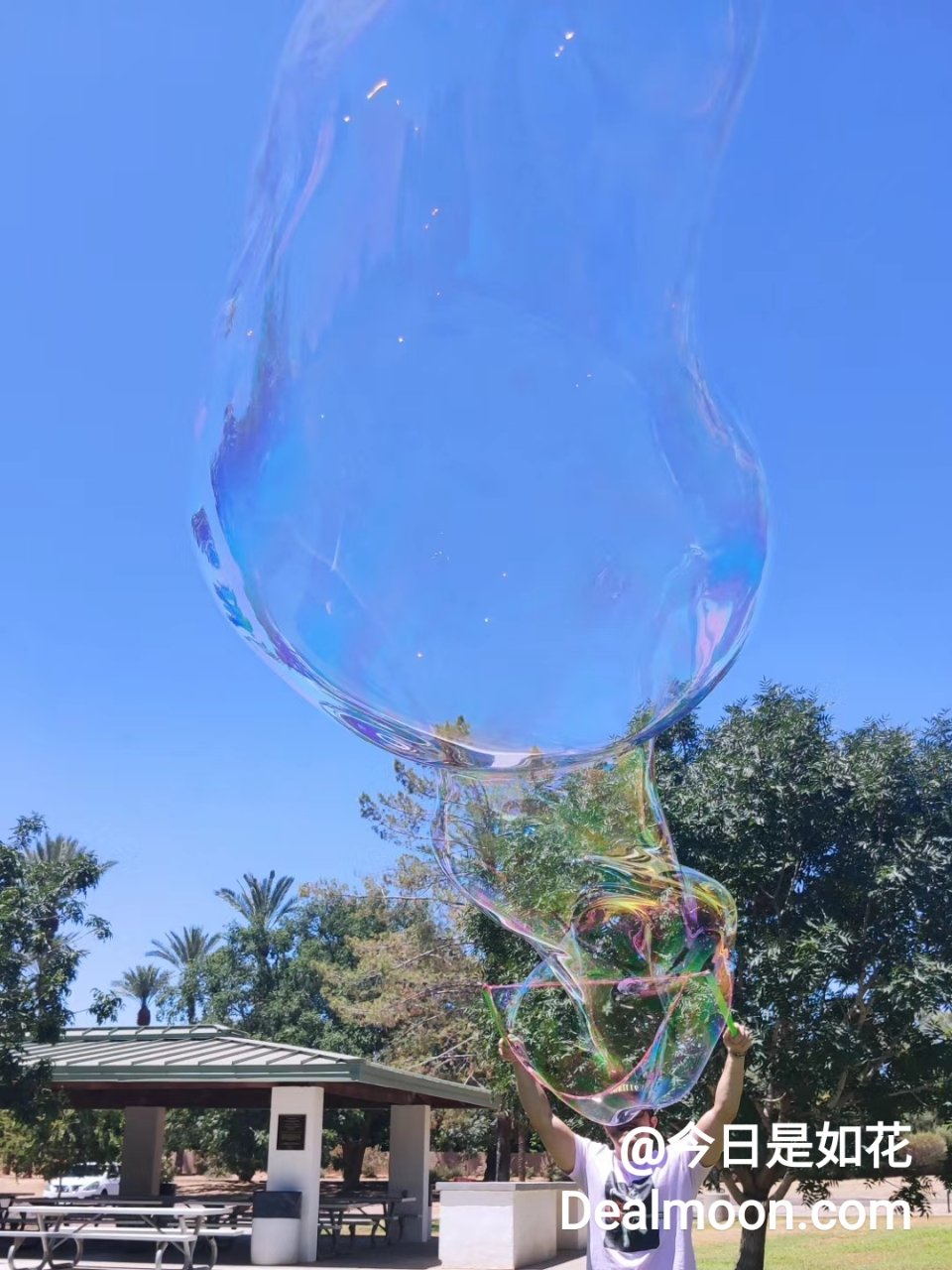 WOWMAZING Giant Bubble Wands Kit: (4-Piece Set) | Incl. Wand, Big Bubble Concentrate and Tips & Trick Booklet | Outdoor Toy for Kids, Boys, Girls | Bubbles Made in The USA - Standard Kit : Toys & Games