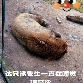 【探游记】哥村动物园一日游...