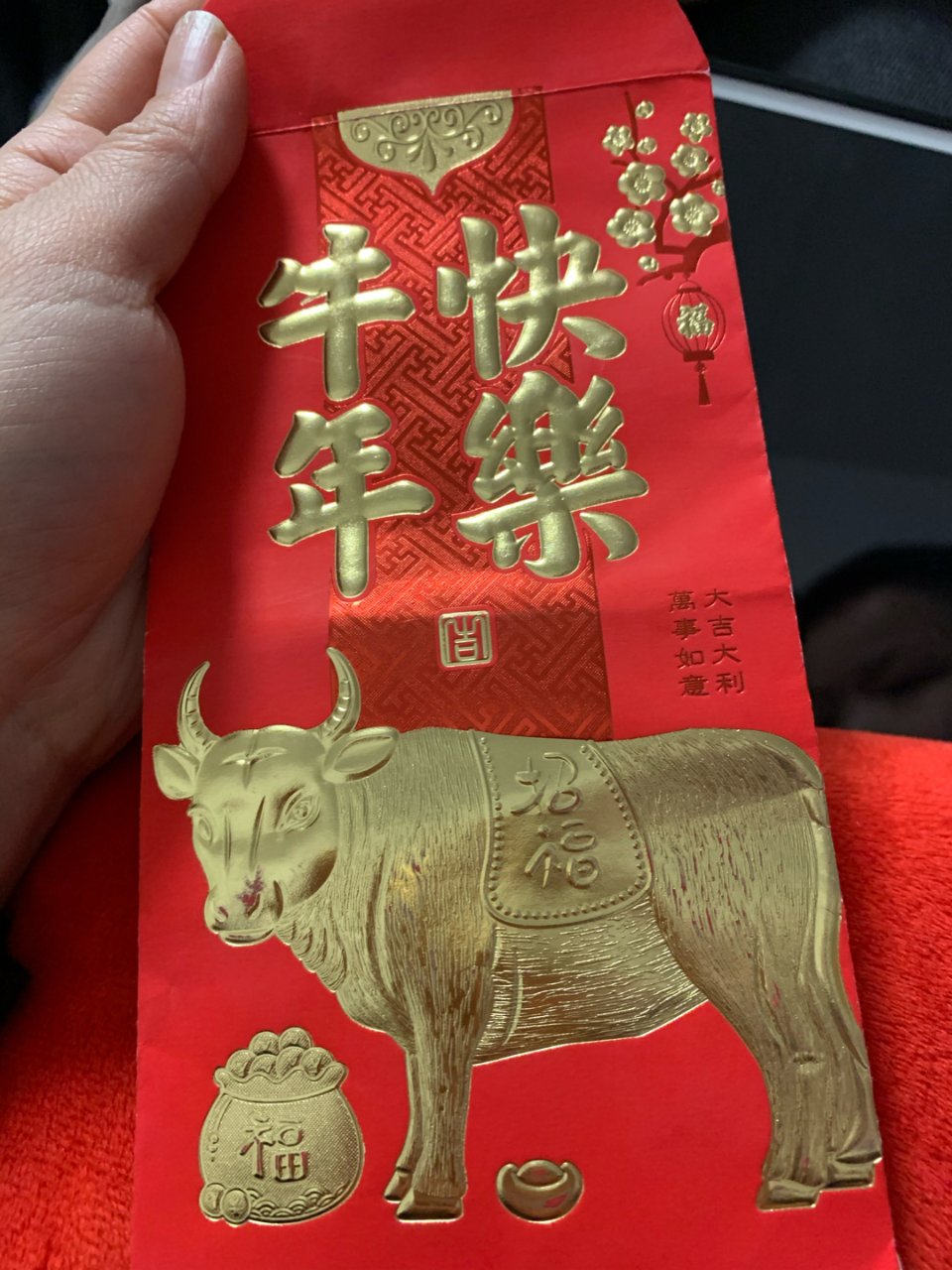 6 Pieces Silk Red Envelope Hong Bao Chinese Card Envelope Red Pocket Lucky Money for Spring Festival Wedding New Year Birthday, 3 Styles with Chinese Knot Jade Pendant Copper Coin (Traditional Style) : Office Products