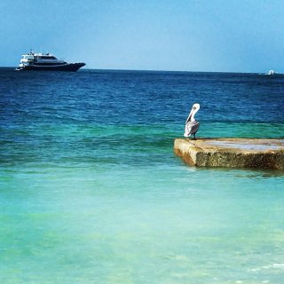 背景墙二 | Key West...