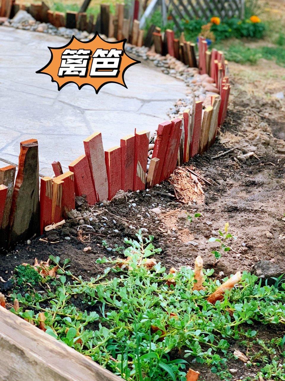 小菜园DIY🪚篱笆防护栏GET...
