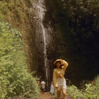 欧胡岛隐秘瀑布Manoa Falls-清...