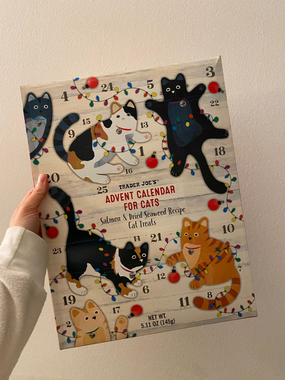 Calendar cats treats