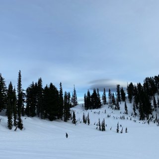 西雅图冬日徒步｜雷尼尔山Skyline ...