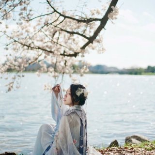 穿汉服赏樱🌸把潮汐湖的春天留在胶片
里...