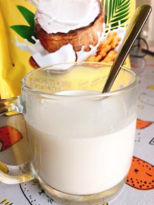 ⏩太子牌🥛姜汁椰奶🥥