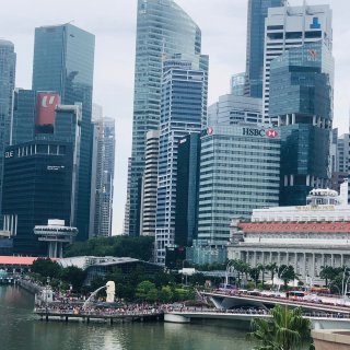 美丽的花园城市新加坡...