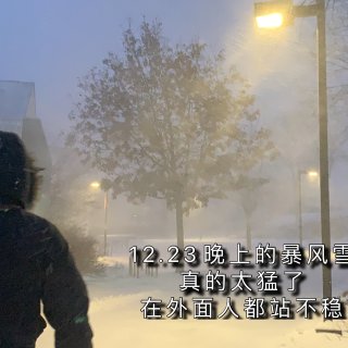 暴风雪后的白色圣诞｜Eggnog蛋酒｜2...