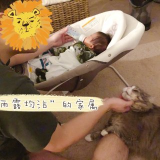 💗宝宝和猫猫的N个有爱瞬间💗...