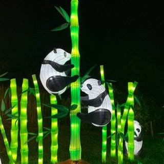 Boston Lights里的熊猫园...