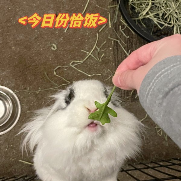 晒货图片