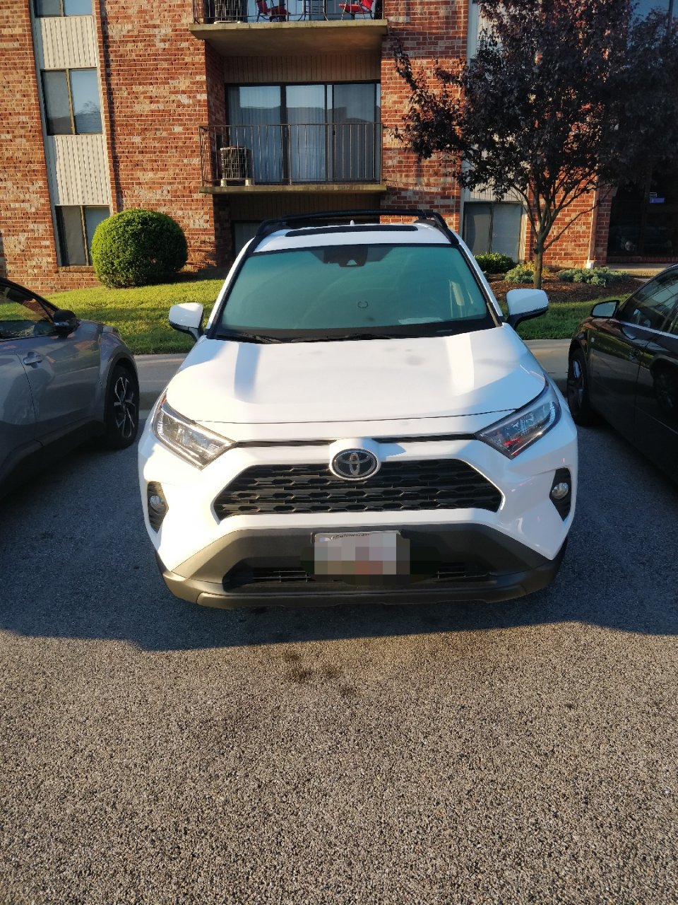 Toyota 2019 Rav4 XLE Premium