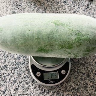 今年收获的第一个冬瓜...