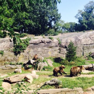 世界最大都市动物园 Bronx Zoo ...