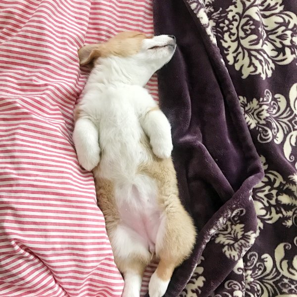 晒货图片
