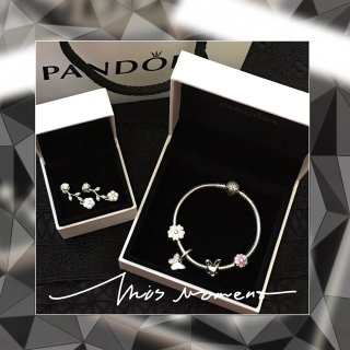 Pandora 潘多拉