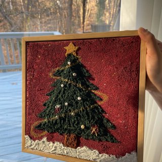 DIY一颗属于自己的圣诞树🎄...
