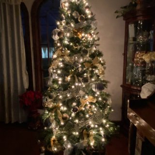 🎄聖誕樹🎄