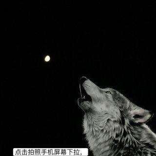 月亮创意摄影｜我“拍”到了狼望月！...