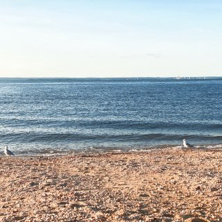纽约周边｜网红长岛沙滩✌️吃的一般看景🉑...