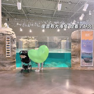 KC Zoo新开 动物园里的水族馆...