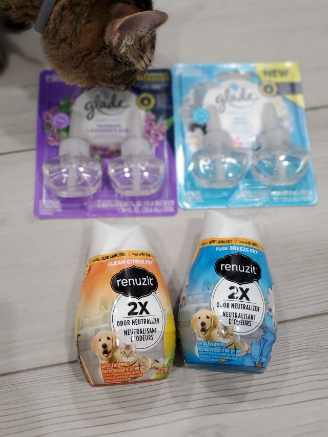 Publix超市入了一些清洁产品，...