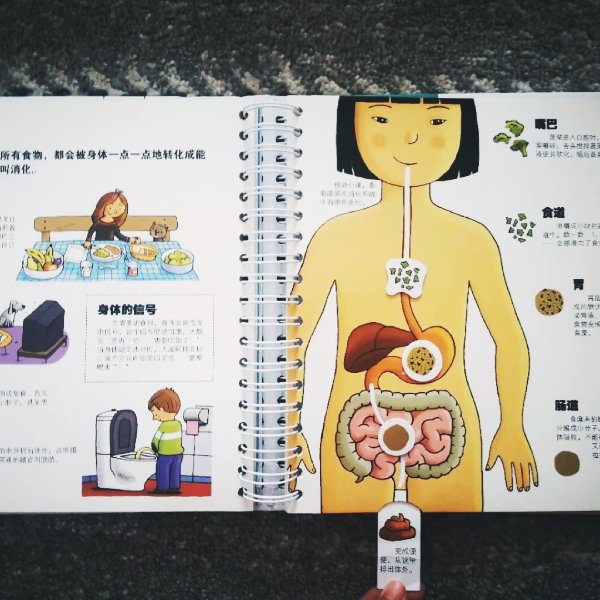 晒货图片