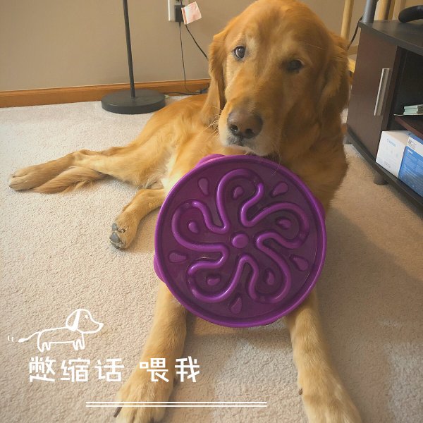 晒货图片