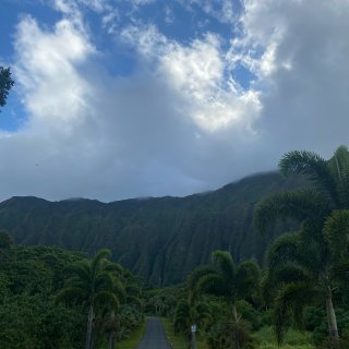 夏威夷攻略之最美的植物园！...