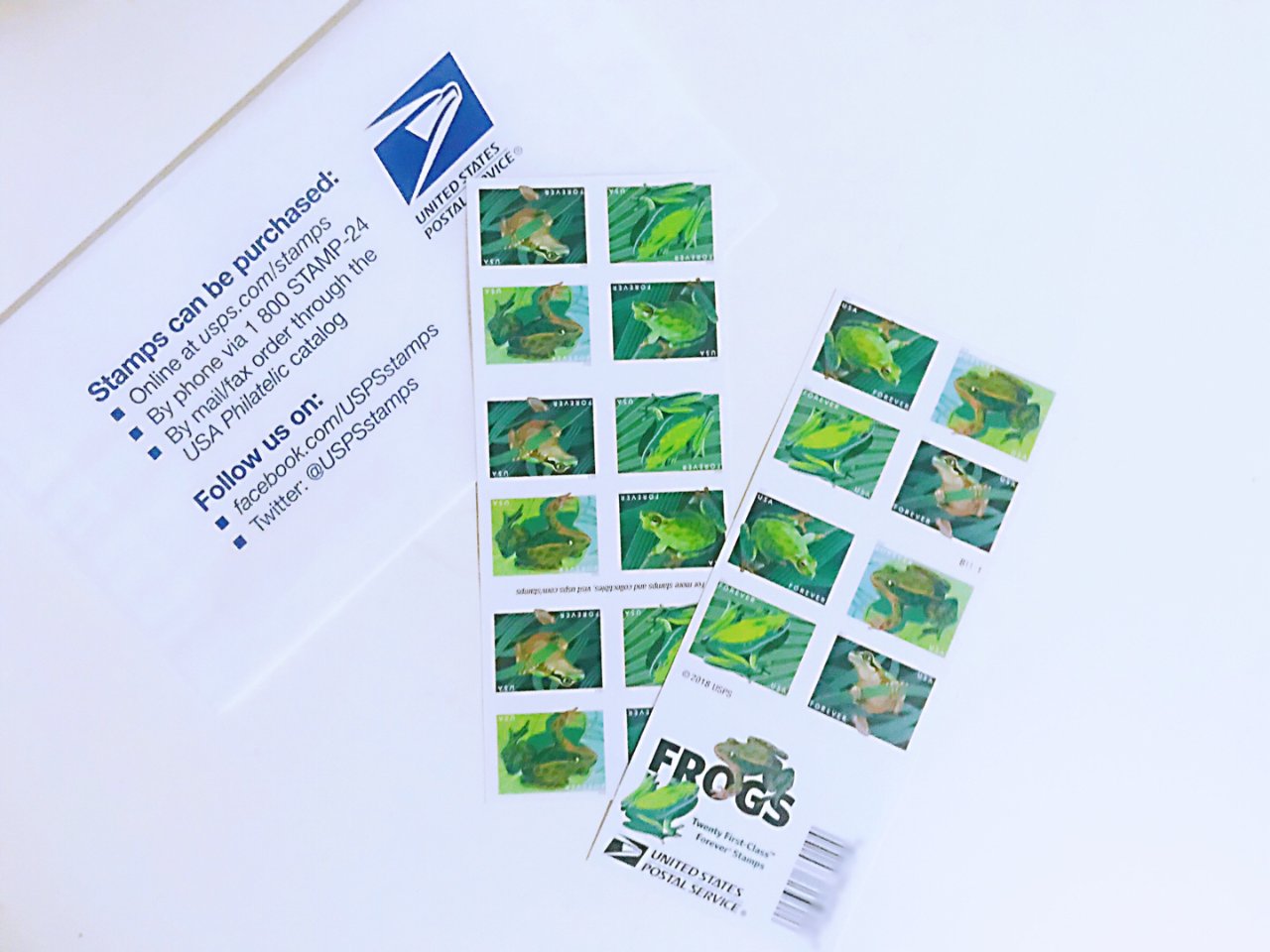 青蛙邮票