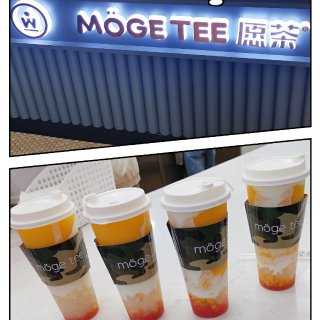 Moge Tea 愿茶 ▏不🉑错过的杨枝...