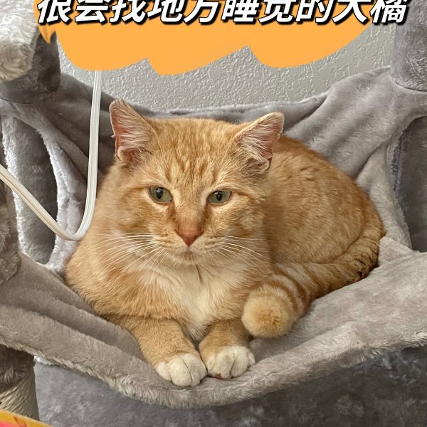 晒货图片
