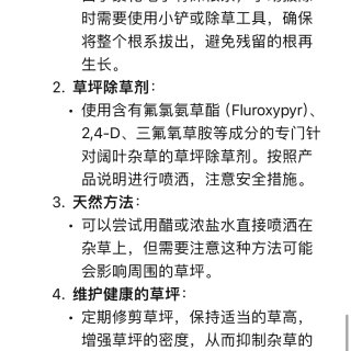 ChatGPT 4o版本免费🆓开放啦｜大...