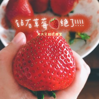 shoprite的大草莓🍓 真的绝了！！...