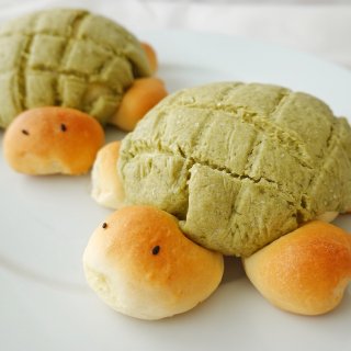 要你永远是我的乌龟🐢菠萝🍍面包🍞...