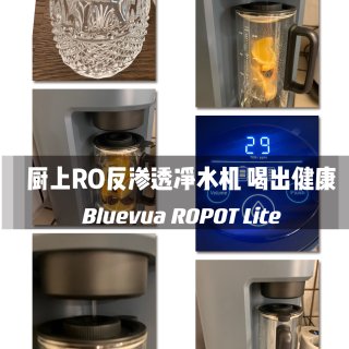 Bluevua 厨上RO反渗透净水机 喝...