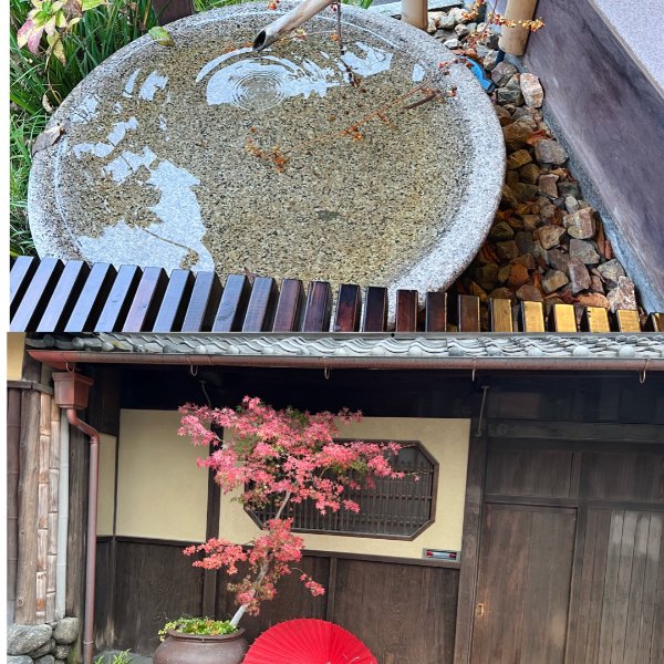 晒货图片