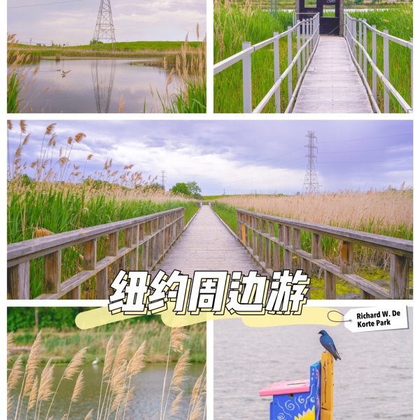 晒货图片