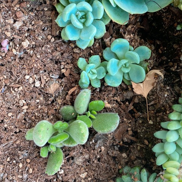 笔记图片