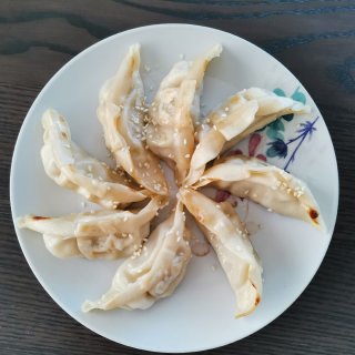 Lidl日式饺子